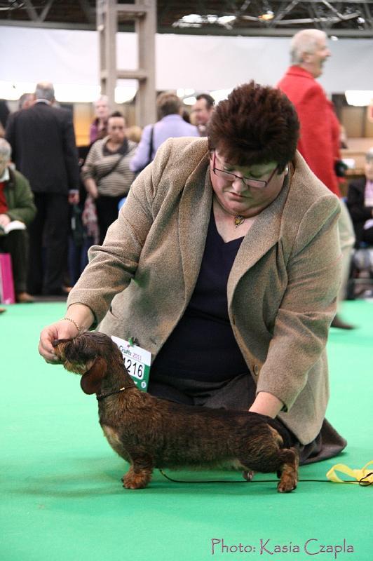 Crufts2011_2 1127.jpg